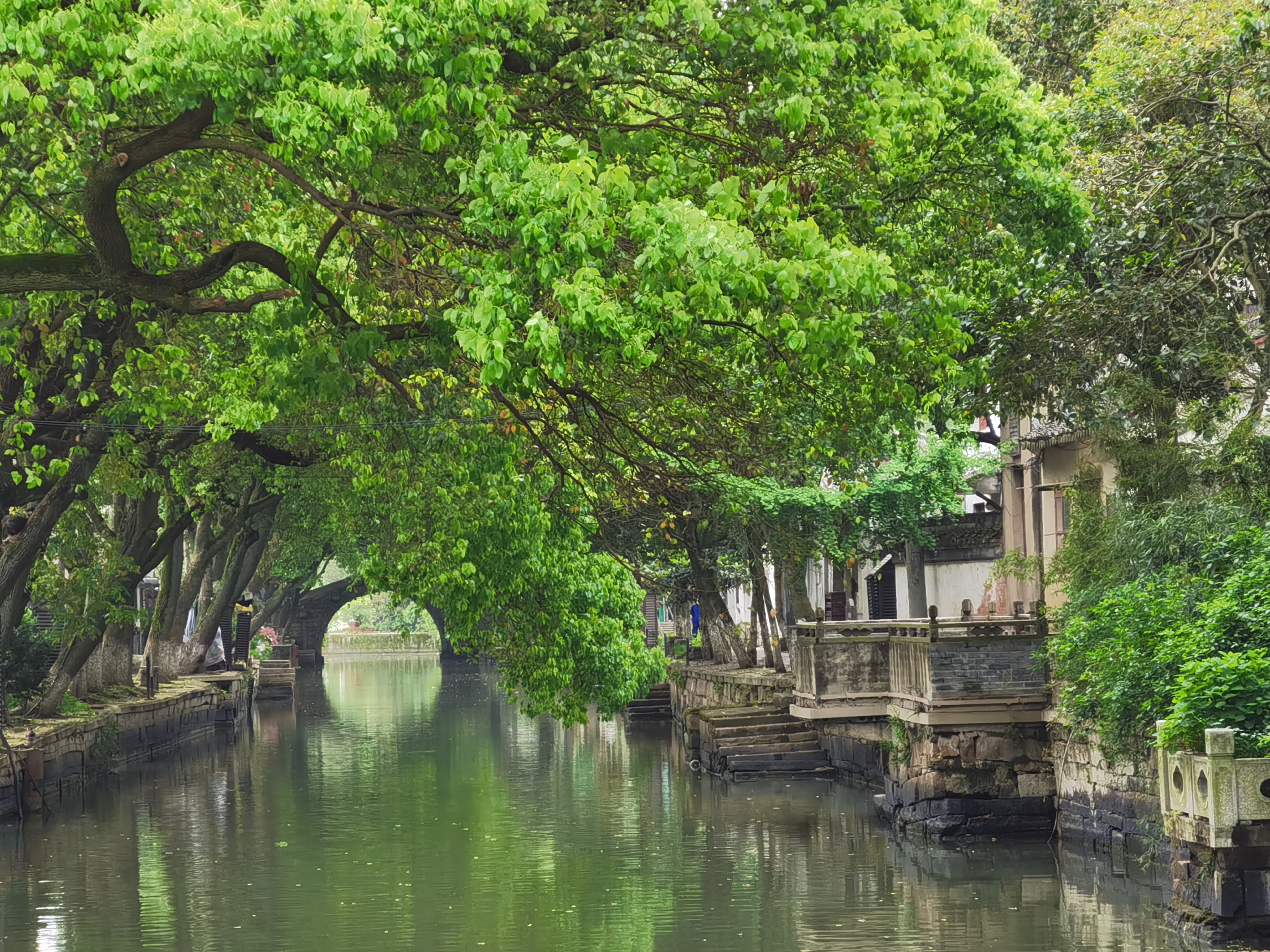 Terletak di Distrik Wujiang di Kota Suzhou