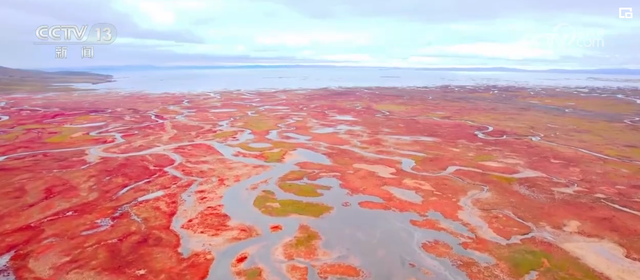 Kementerian Ekologi dan Lingkungan Hidup Tiongkok