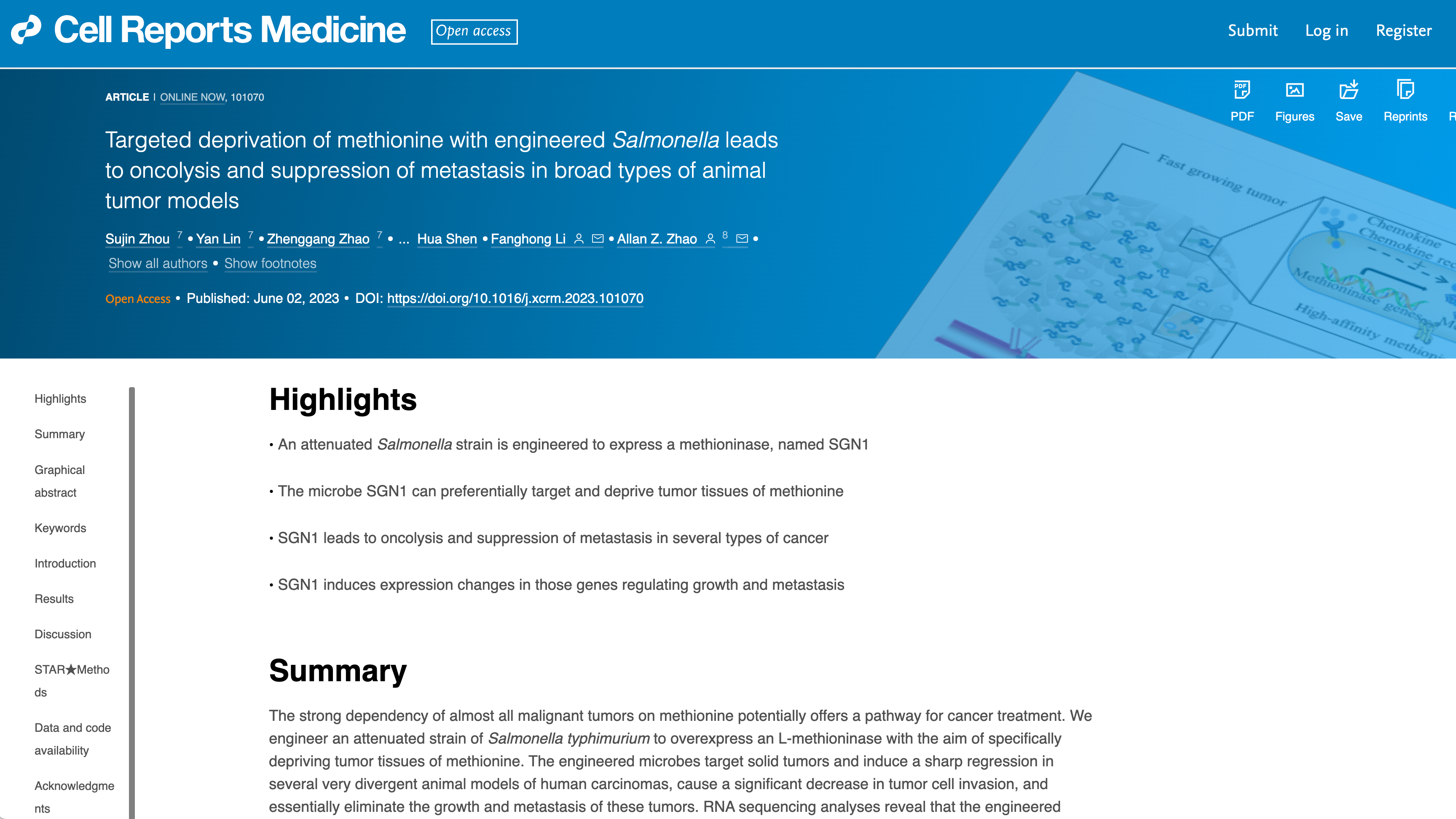 Kepala Direktur Institut Konfusius Tiongkok di Universitas Al-Azhar