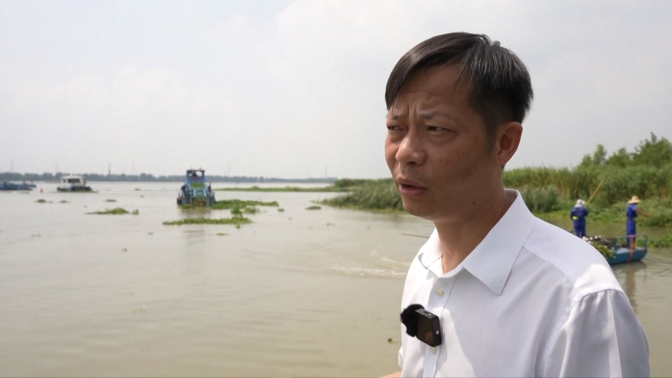 Dengan kemajuan pembangunan hijau terpadu di Delta Sungai Yangtze