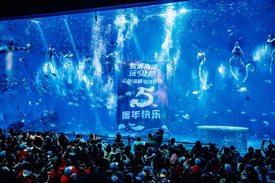 Berbagai kegiatan sedang digulirkan di Shanghai Haichang Ocean Park di Kawasan Baru Pudong untuk merayakan ulang tahun pembukaan taman tersebut selama lima tahun