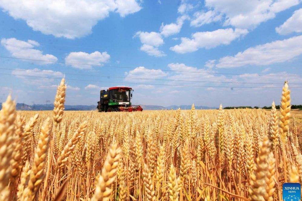 Tiongkok Mengeluarkan Rencana Aksi Percepat Modernisasi Pertanian