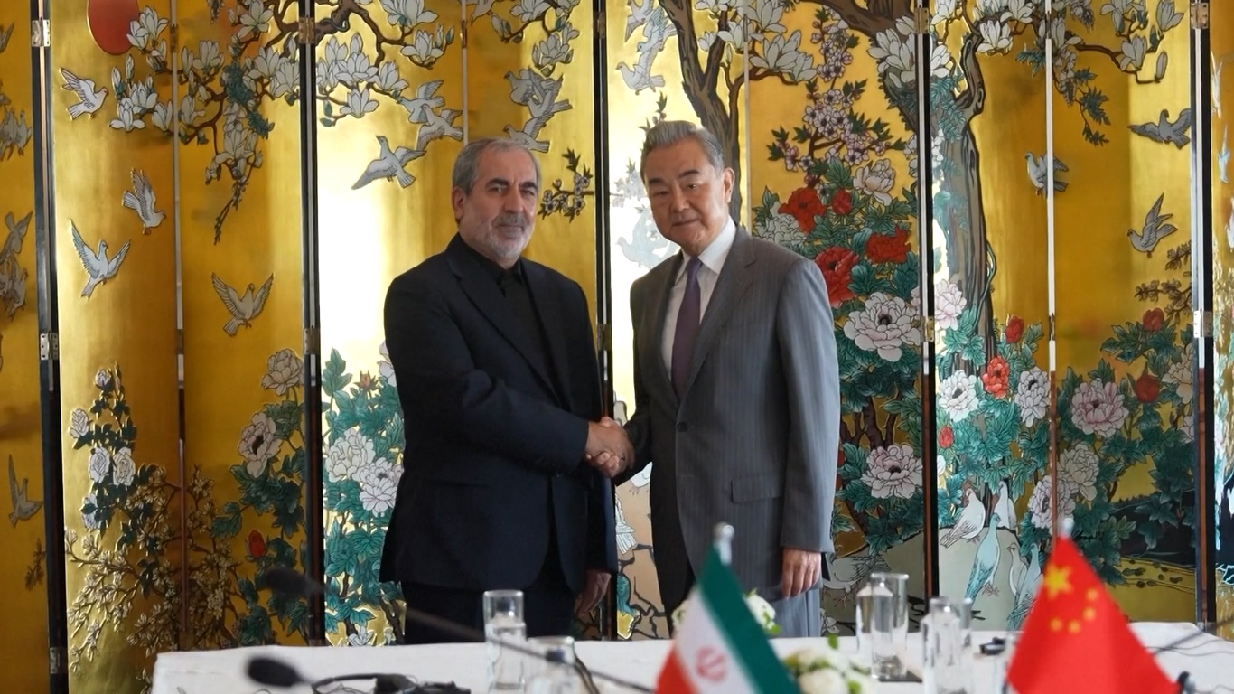 Menlu Tiongkok Bertemu dengan Wakil Sekretaris Dewan Keamanan Nasional Tertinggi Iran di New Delhi