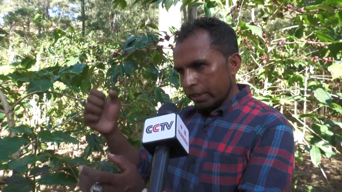 Dengan bimbingan dari para ahli Tiongkok yang diselenggarakan oleh Kedutaan Besar Tiongkok di Timor-Leste