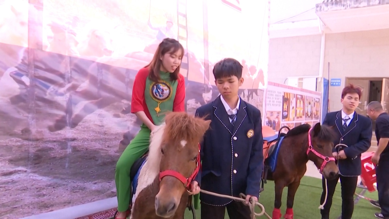 Ke-12 kuda tersebut dipamerkan di sebuah acara yang merupakan bagian dari serangkaian kegiatan yang bertujuan untuk mendorong pariwisata bilateral dan pertukaran budaya antara kedua negara bertetangga tersebut