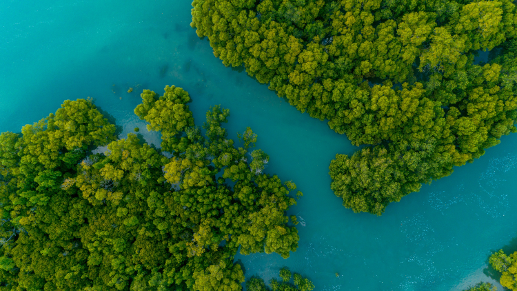 Laporan tersebut mencatat bahwa Dialog Lingkungan dan Iklim Tingkat Tinggi Tiongkok-UE harus menjadi mekanisme utama untuk mekanisme kerja sama lebih lanjut yang melibatkan berbagai entitas