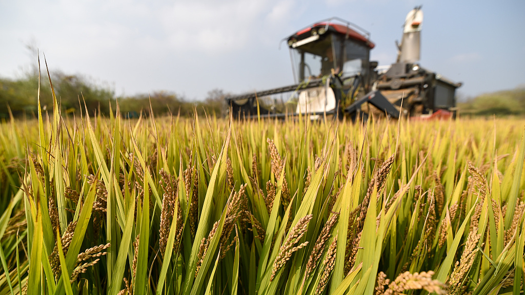 Perubahan iklim global telah memperburuk masalah