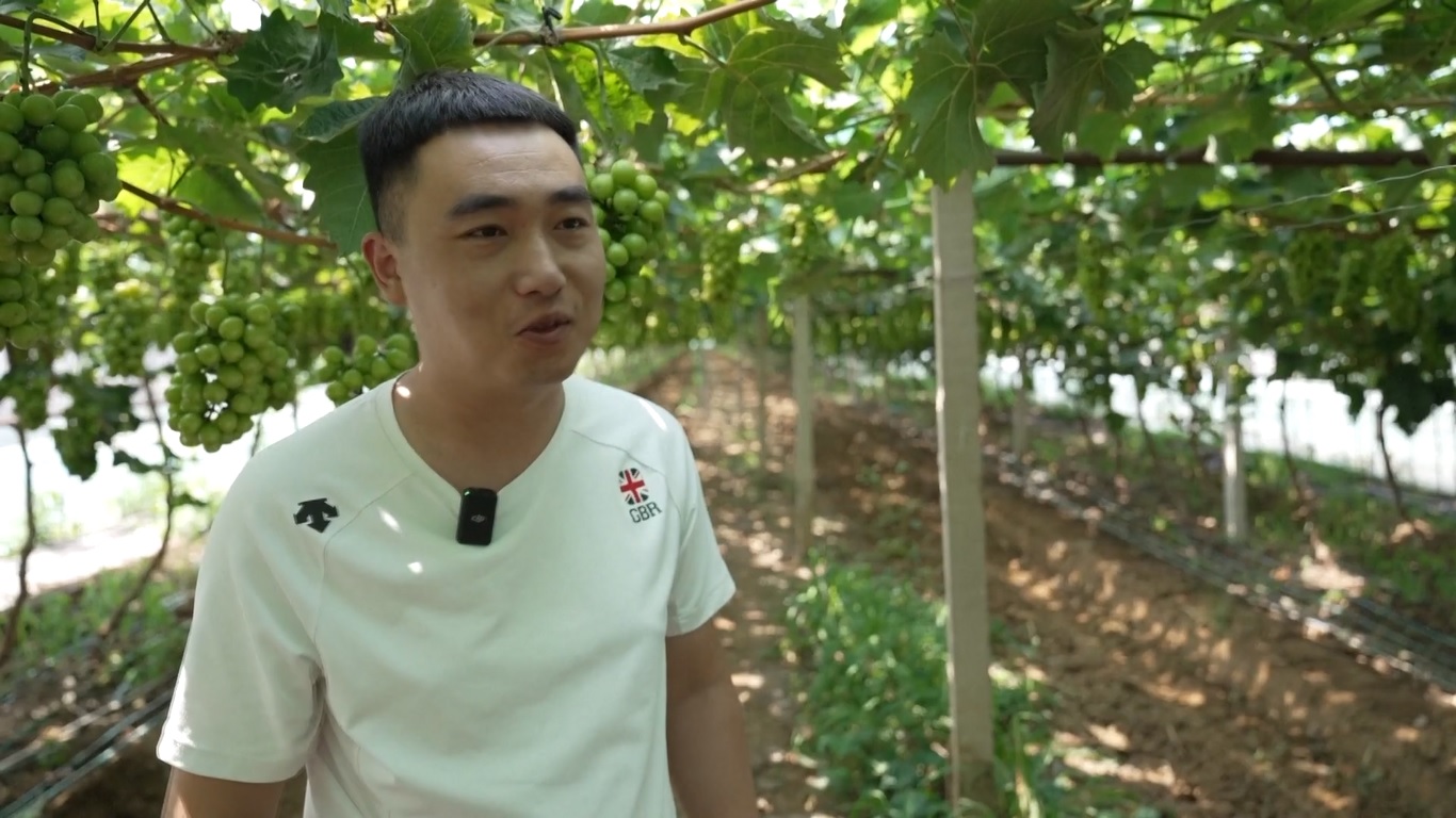 Liaoning adalah wilayah yang terkenal dengan anggurnya