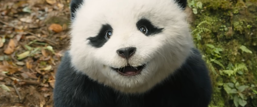 Review Panda Plan: The Magical Tribe: Suguhkan Aksi Khas Jackie Chan dan Lucunya Panda Hu Hu