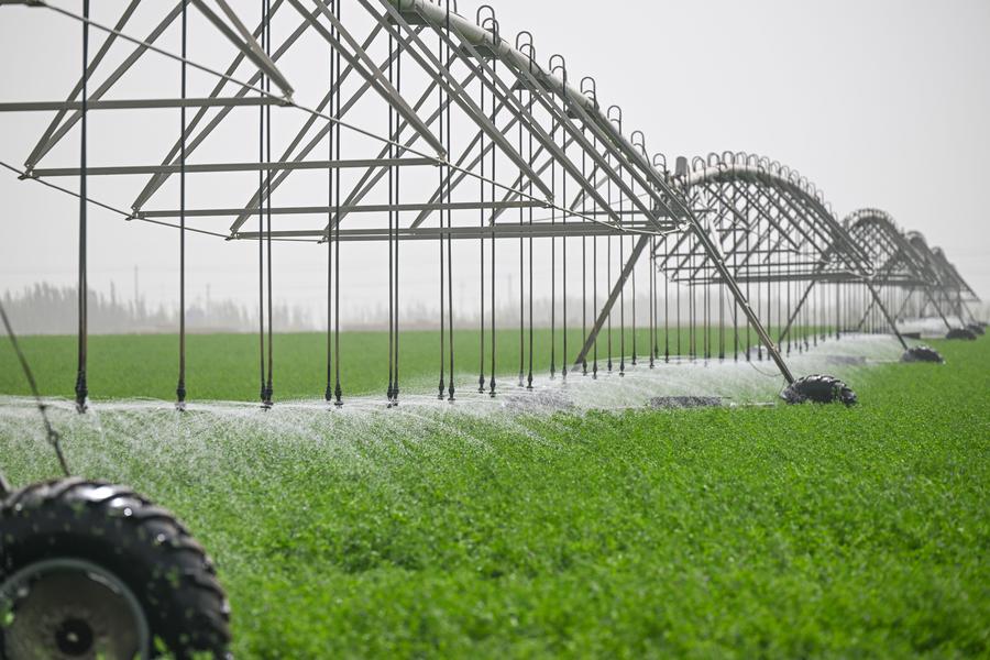 Tiongkok Menerbitkan Rencana Untuk Mendorong Peralatan Hemat Air Berkualitas Tinggi