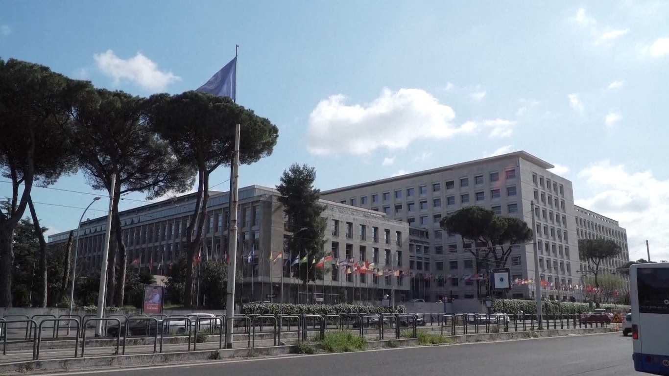 Xi Jinping Ucapkan Selamat Ulang Tahun ke-80 Organisasi Pangan dan Pertanian PBB