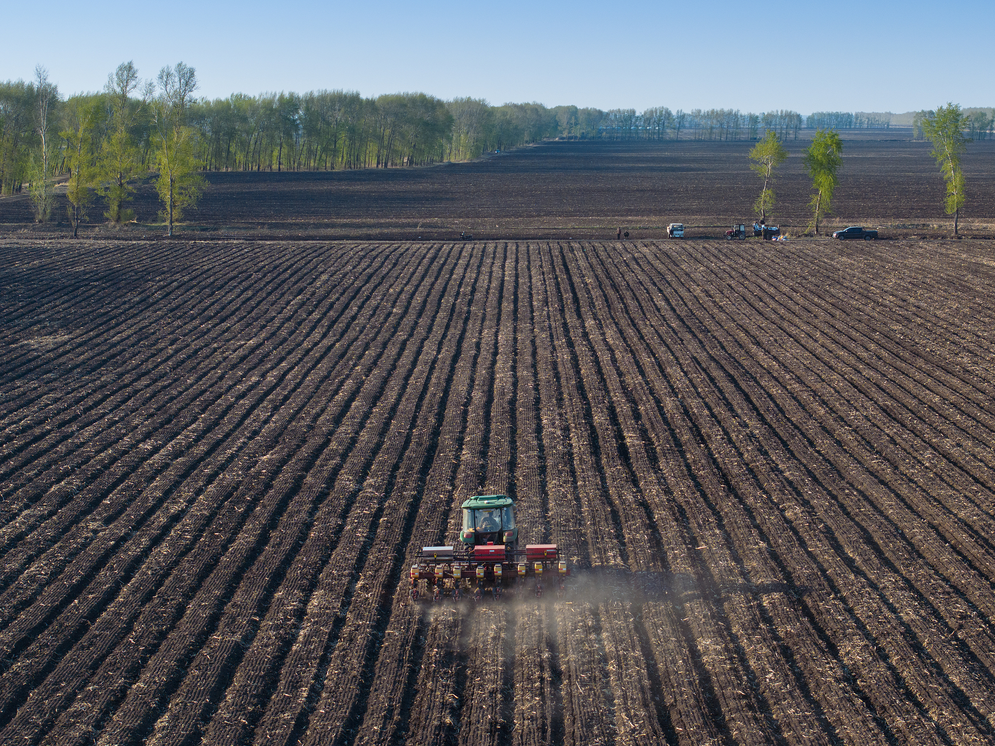 Tanah hitam Tiongkok: Menjamin Masa Depan Pangan