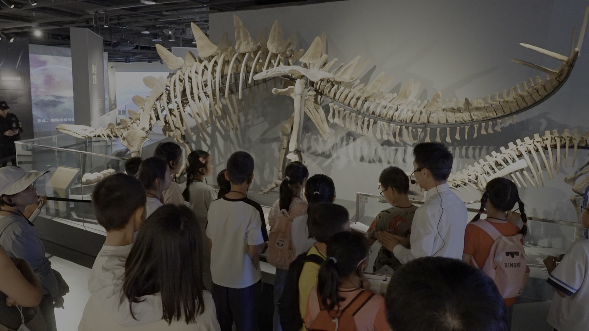 Di Museum Universitas Sichuan di Chengdu