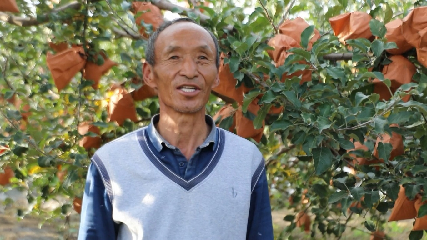 Industri Pedesaan yang Dinamis Dorong Revitalisasi Pedesaan Tiongkok