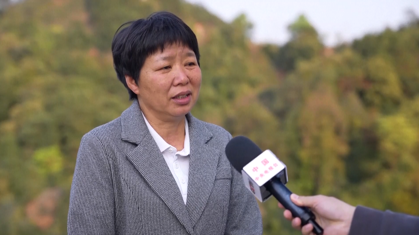 Pejabat Wanita Tiongkok Ini Membawa Kemakmuran ke Desa Pegunungan dengan Industri Teh