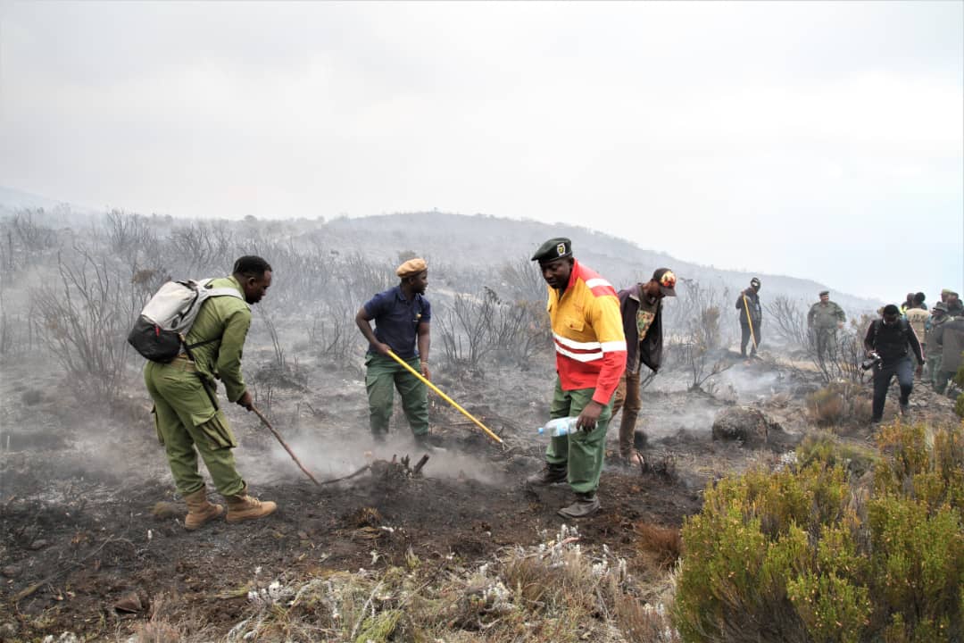 Sebuah insiden kebakaran terjadi di Gunung Kilimanjaro di Tanzania