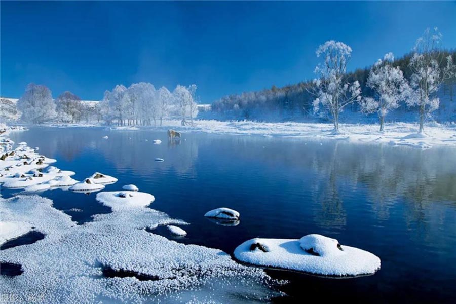 Di musim dingin seperti sekarang