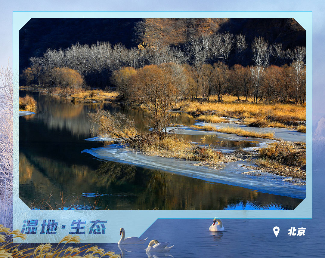 Tanggal 2 Februari besok adalah Hari Lahan Basah Sedunia ke-28 yang bertema “Lahan Basah dan Kesejahteraan Manusia”