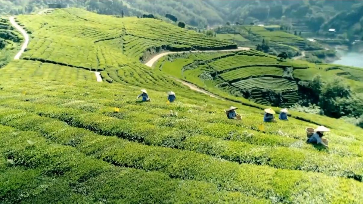 Untuk program kritis ini