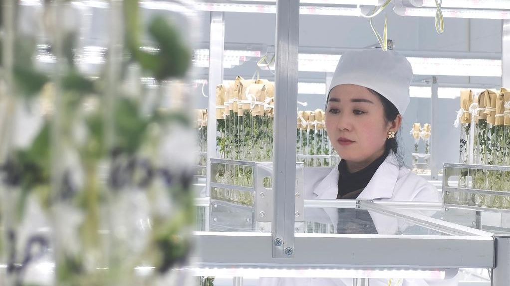 Pemuliaan luar angkasa mengacu pada mengekspos benih atau galur ke radiasi kosmik dan gayaberat mikro di luar angkasa untuk mengubah gen mereka sehingga dapat menciptakan spesies atau varietas baru yang lebih baik