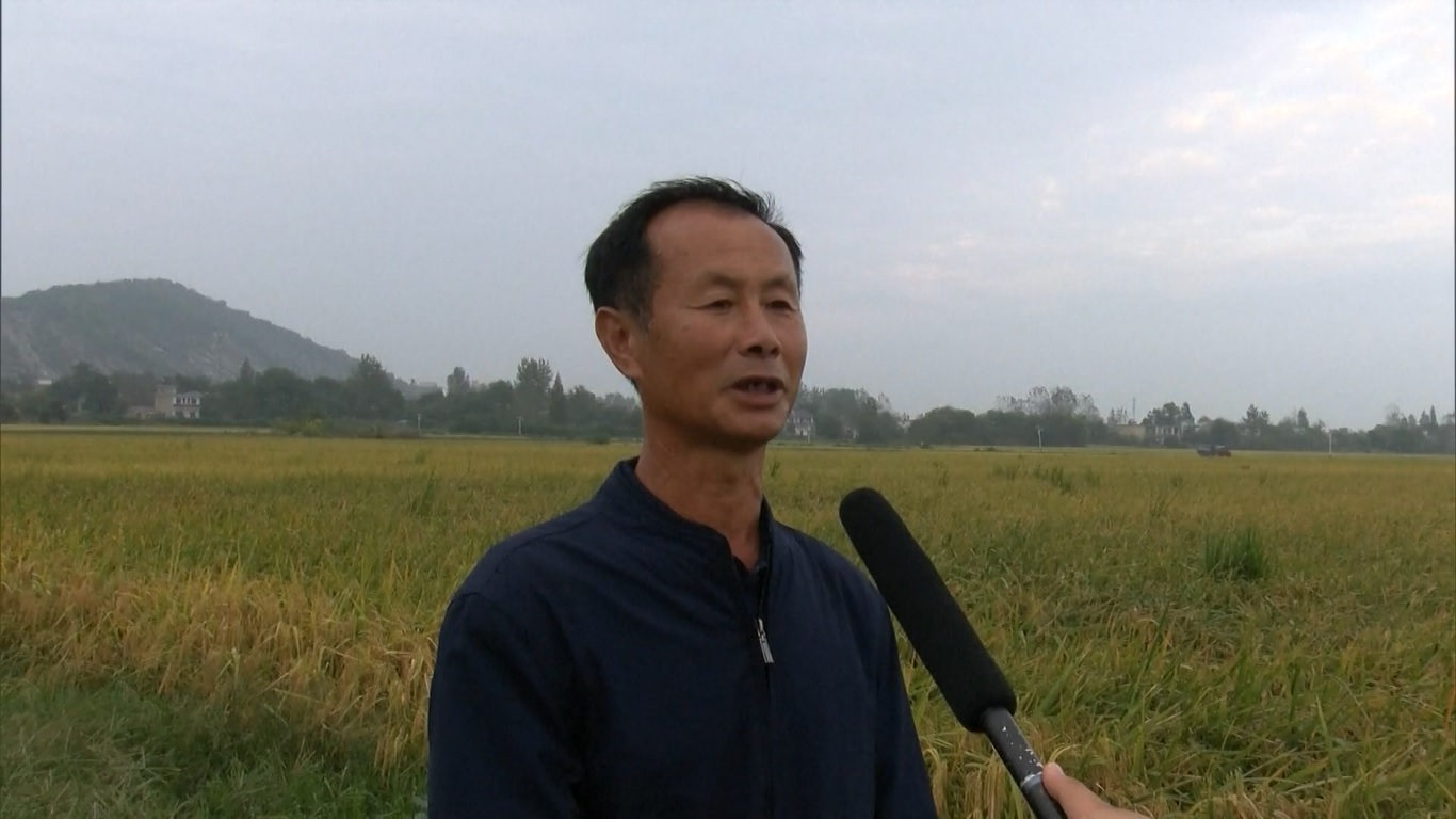 Di Kota Wuwei