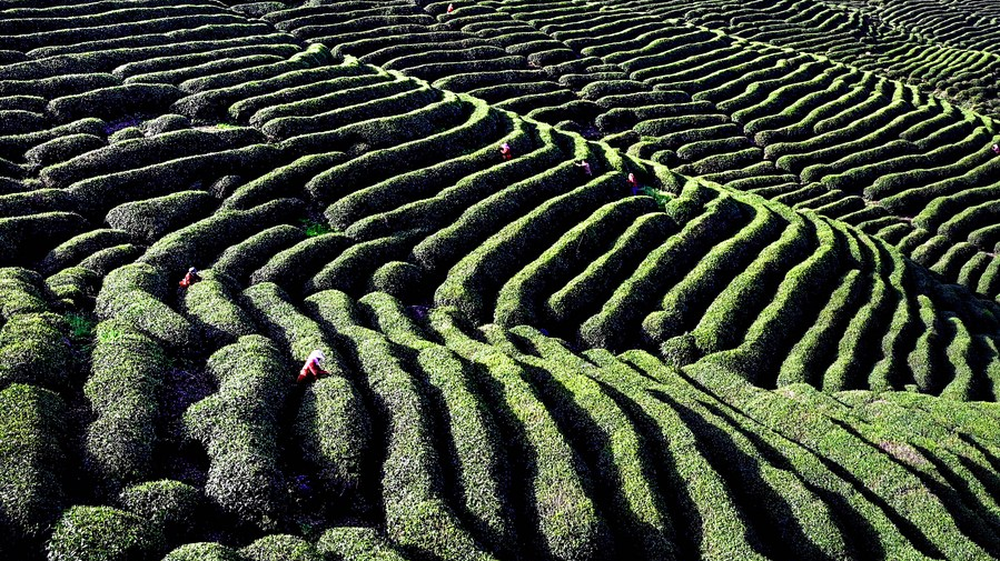 Presiden Tiongkok Xi Jinping telah menggarisbawahi kemajuan yang solid dalam perlindungan sistematis warisan budaya takbenda