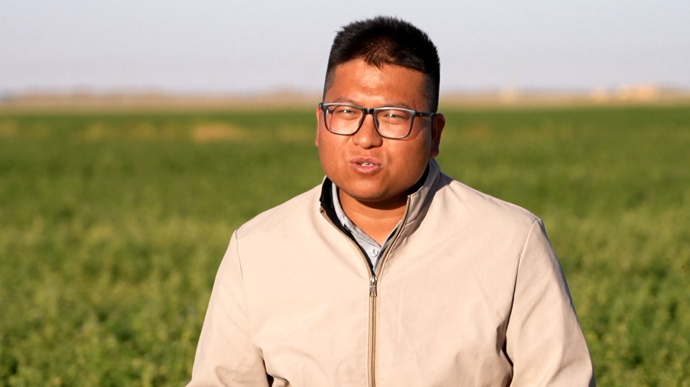 Pemuda Ini Hidupkan Lahan Pertanian Hijau di Tengah Gurun Xinjiang