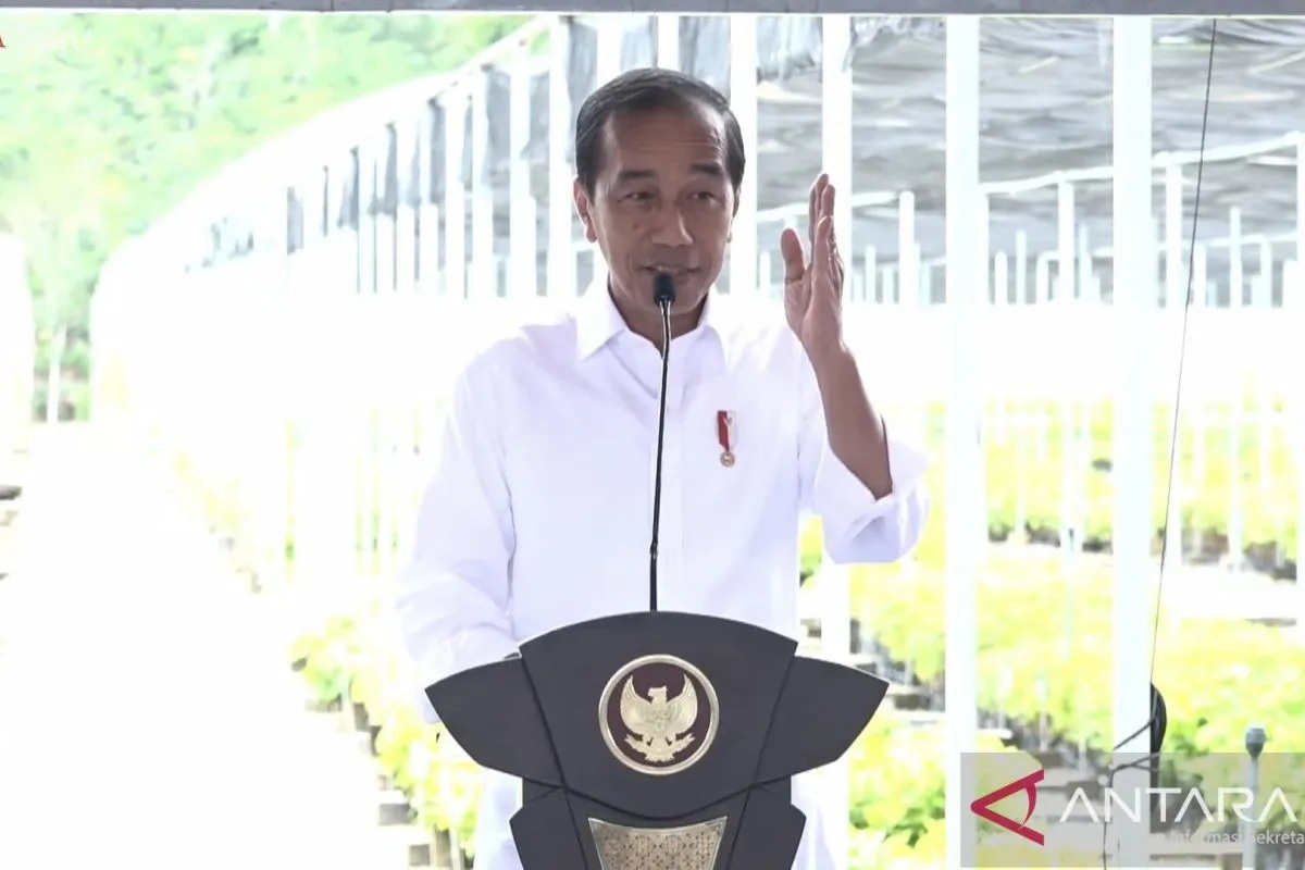 Presiden Joko Widodo (Jokowi) mengatakan penyediaan sejumlah fasilitas pusat penyemaian bibit tanaman di berbagai daerah merupakan bentuk komitmen global bagi Indonesia dalam merespons perubahan iklim