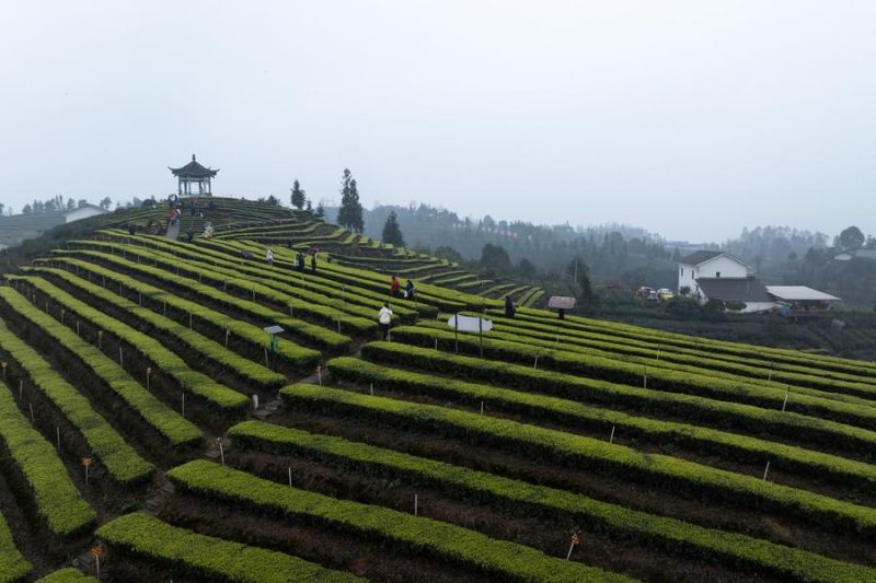 Dalam beberapa tahun terakhir