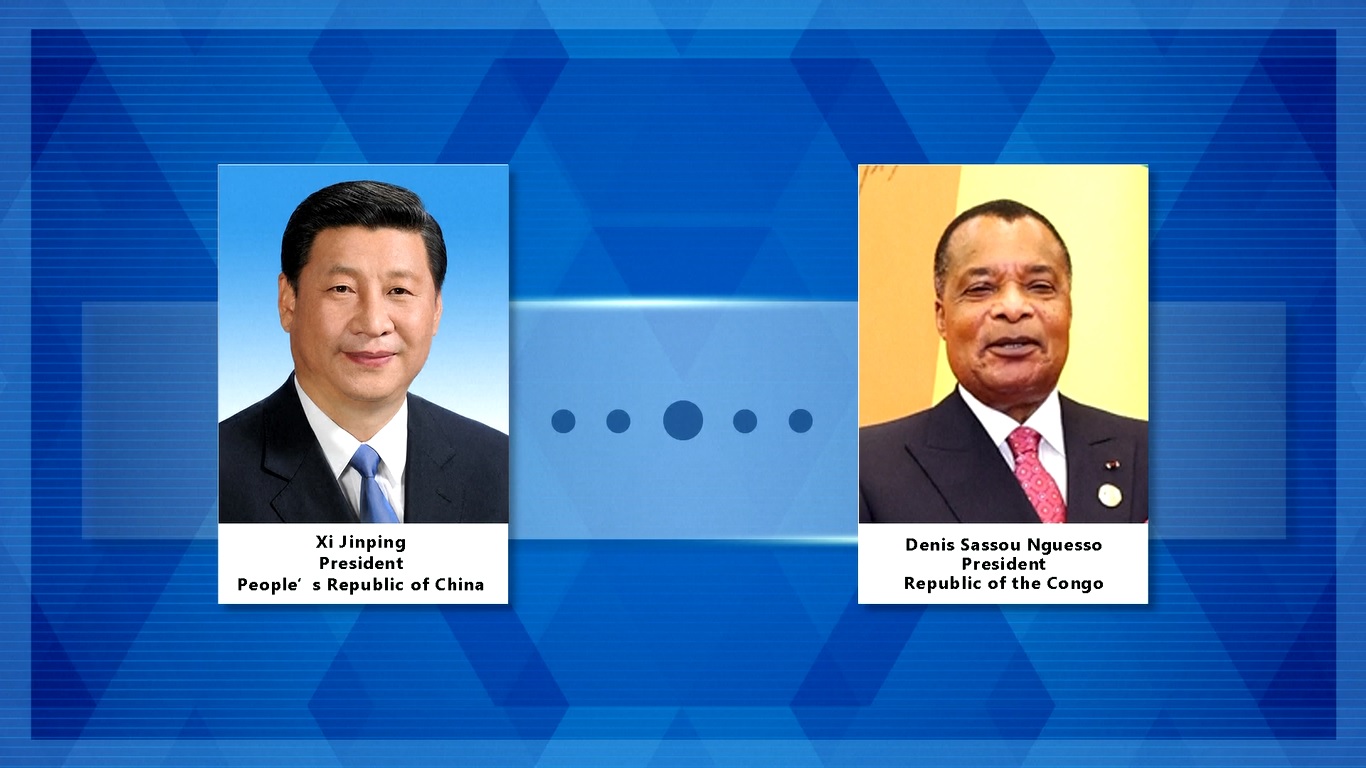 Xi mengatakan persahabatan antara Tiongkok dan Republik Kongo telah bertahan dalam ujian waktu