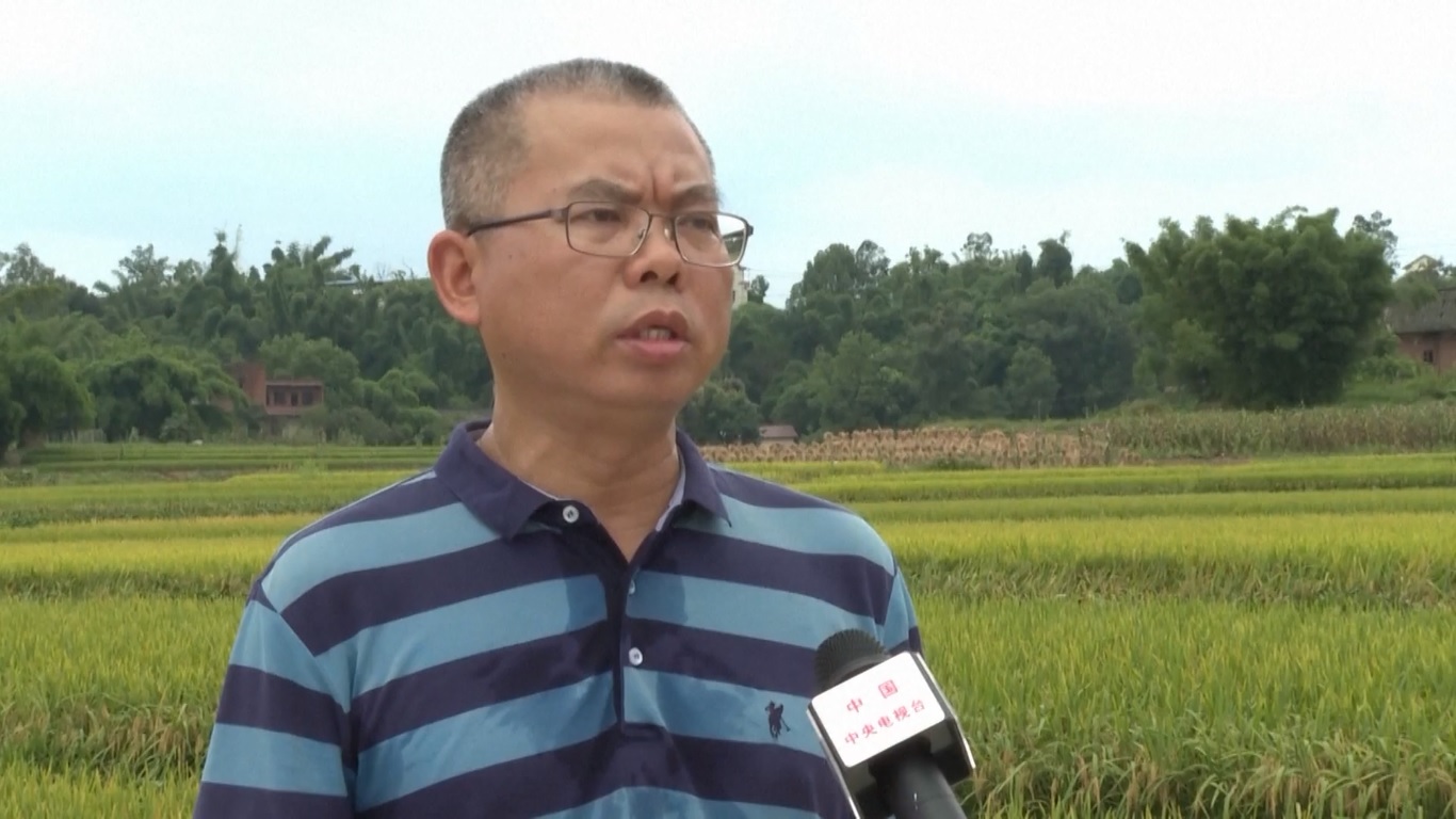 Di Distrik Yongchuan