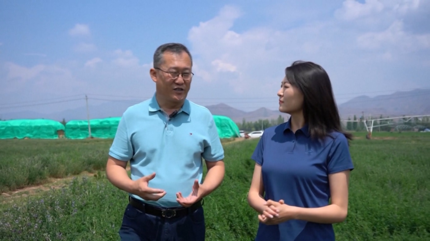 Mongolia Dalam adalah daerah penghasil produk susu yang penting di Tiongkok