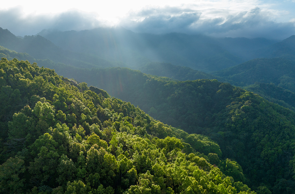 Dengan beragam satwa liar