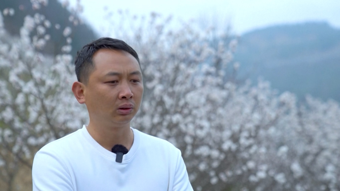 Tiongkok kini menjadi produsen bunga terbesar di dunia dan peserta penting dalam perdagangan bunga di luar negeri