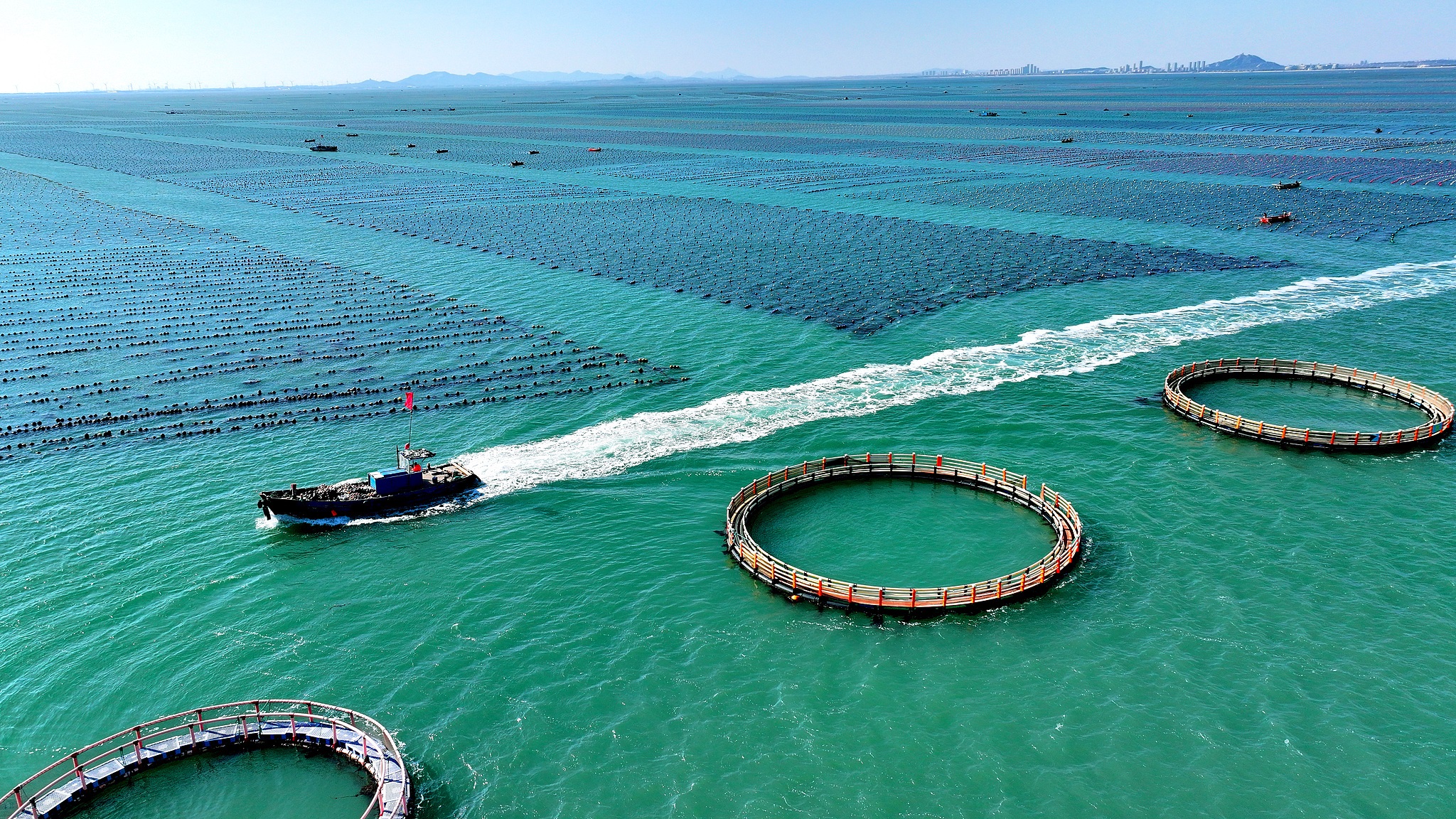 Artikel Xi Tentang Mendorong Pengembangan Ekonomi Kelautan Berkualitas Tinggi akan Diterbitkan