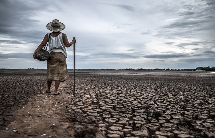 Peneliti Tiongkok kini telah mengembangkan model kecerdasan buatan (AI) yang didukung oleh algoritme pembelajaran mendalam untuk memprediksi perkembangan dan pola peristiwa El Niño